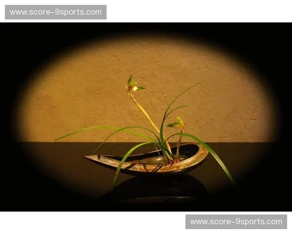 极简与繁花的终极博弈：当法式浪漫撞上日式物哀，谁才是你的灵魂归宿？