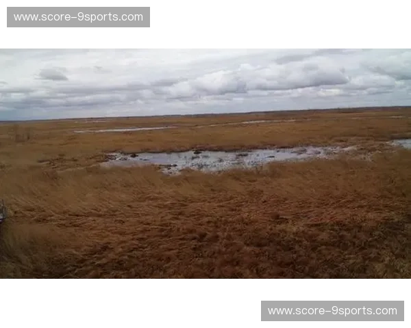 13vs24:当那场名为“成长”的季风,吹过青春的荒原与精致的都市 13vs24:当那场名为“成长”的季风,吹过青春的荒原与精致的都市